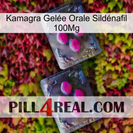 Kamagra Gelée Orale Sildénafil 100Mg 01
